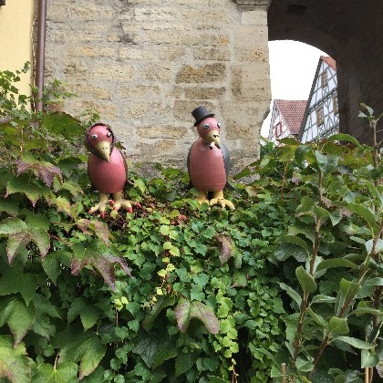 Gemeinsam auf Entdeckungstour – Vereinsausflug 2016