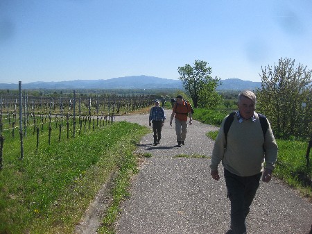 Unterwegs in der Schwarzwaldlandschaft – Vatertagswanderung 2016