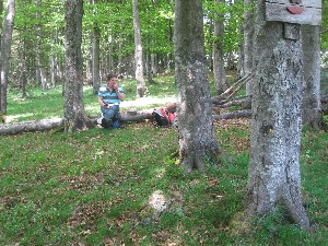 Unterwegs in der Schwarzwaldlandschaft – Vatertagswanderung 2009